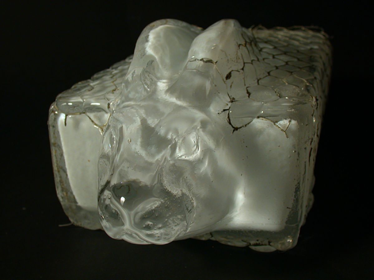 In a rabbit cage / fixed blown