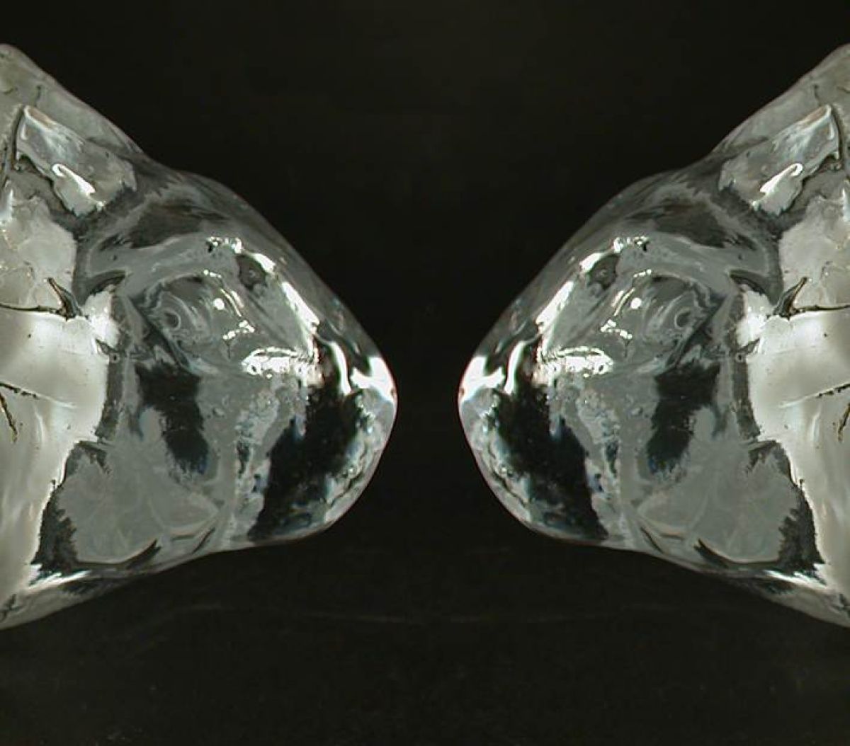 In a rabbit cage / fixed blown