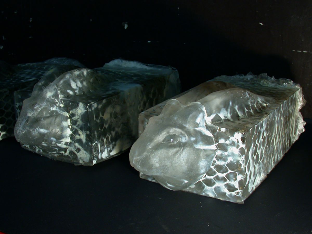 In a rabbit cage / casting glass