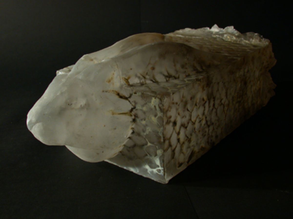 In a rabbit cage / casting glass